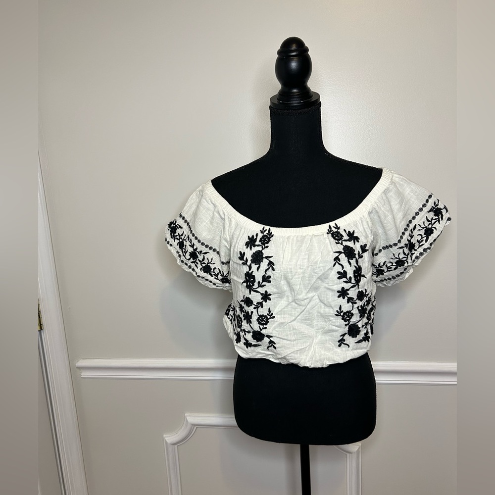 Off the the shoulder embroidered crop top